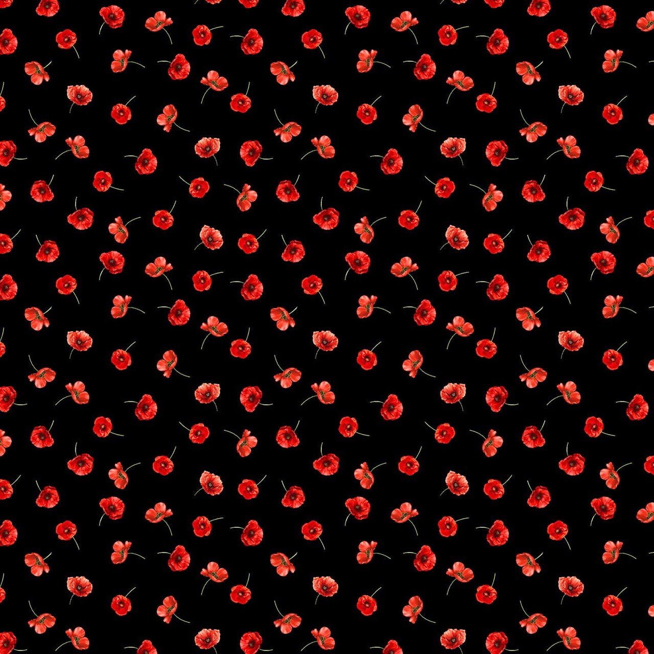 Fabric Timeless Treasures Black Tossed Poppies Poppy Passion by the Quarter Yard CD3809-BLACK